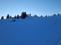 Val di Fiemme / Obereggen aktuálně